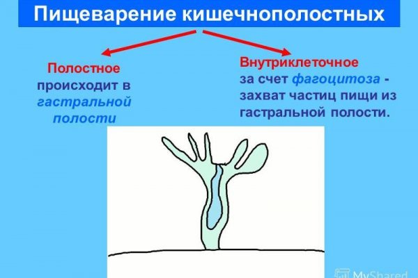 Кракен правила площадки